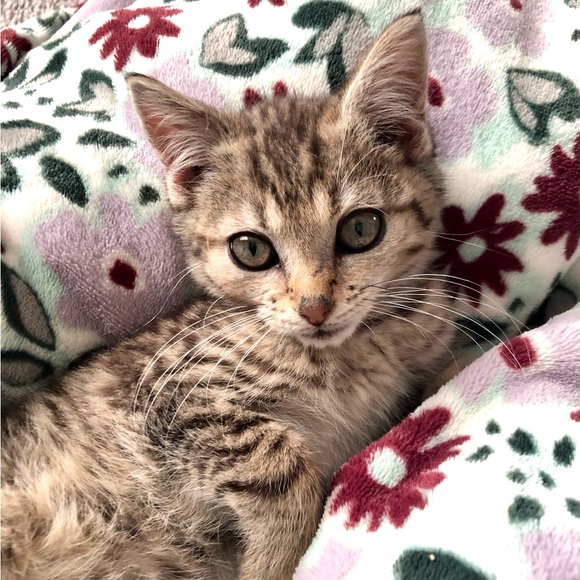 Meet your Posher, Kim - Picture 10 of 15